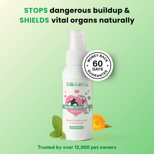 Pawgether™ Dental Spray