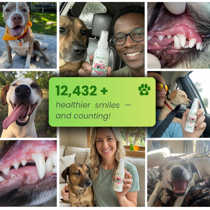 Pawgether™ Dental Spray