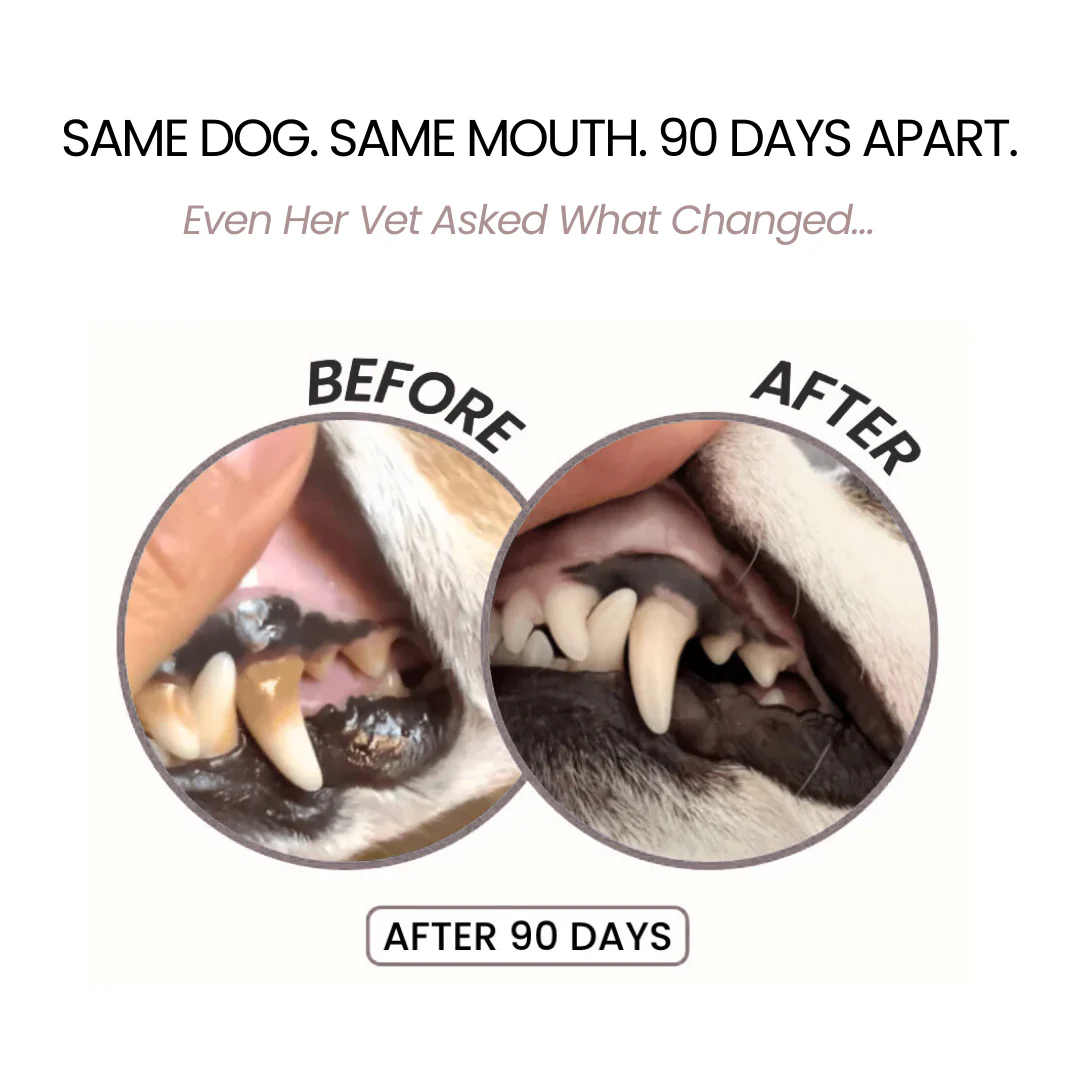 Pawgether™ Dental Spray