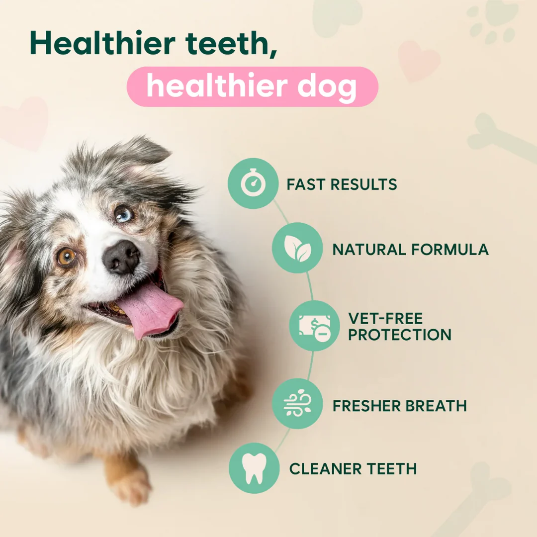 Pawgether™ Dental Spray