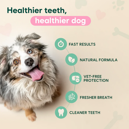 Pawgether™ Dental Spray