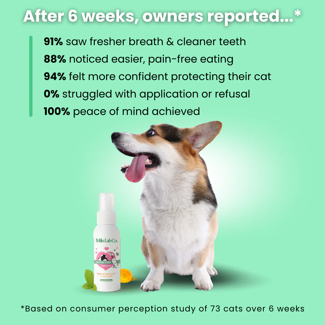 Pawgether™ Dental Spray