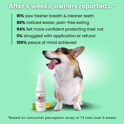 Pawgether™ Dental Spray