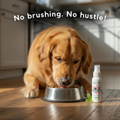 Pawgether™ Dental Spray